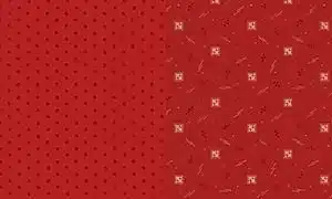 tela-marcus-rojo