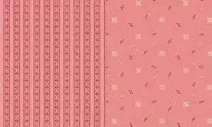 tela-marcus-rosa